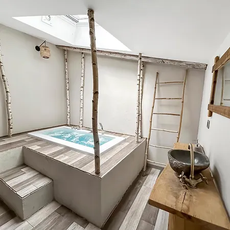 Apartment Zen & Jacuzzi - Parenthese De Detente Nouveau! Day Use! Clermont-Ferrand