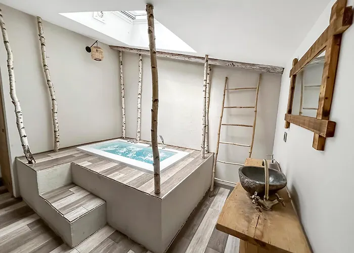 Apartment Zen & Jacuzzi - Parenthese De Detente Nouveau! Day Use! Clermont-Ferrand