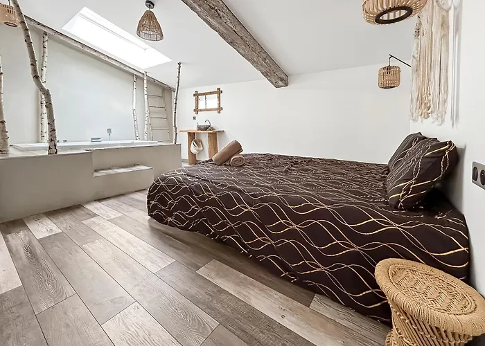 Apartment Zen & Jacuzzi - Parenthese De Detente Nouveau! Day Use! Clermont-Ferrand